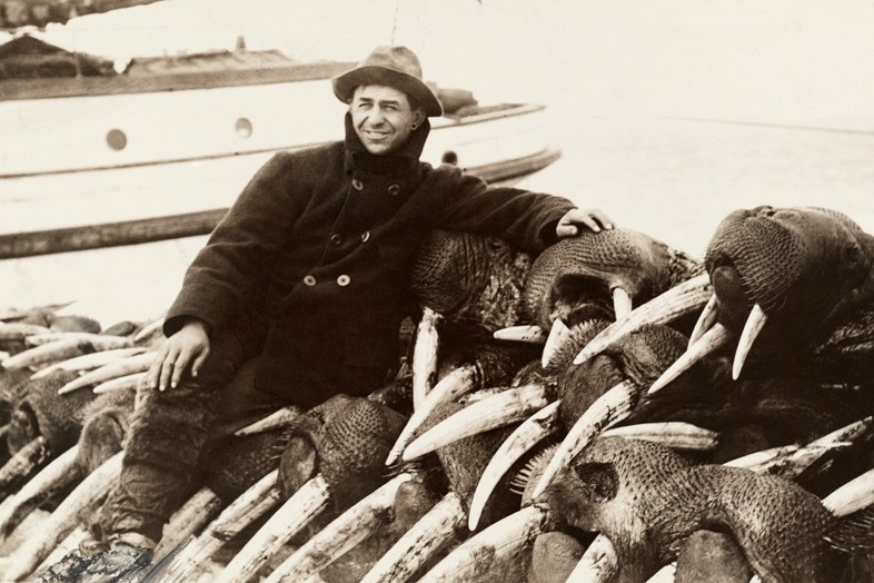 10 walrus hunter 1911 domena pub